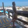 kaia.nemeth36