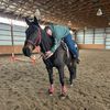 amateur_equestrian