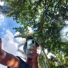 lola_ise15