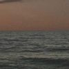 darkocean13666