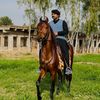 salman_awan5