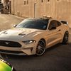 s550_iggy