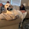 kamryntoofer