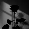 _.yoursafeplace._
