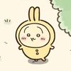 piinkiwoo