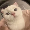 chiara_emi