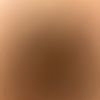 d_02555