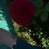 sarah.o52