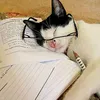 alanaescritora