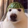anders__123