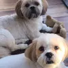 vikki_cunninghamx
