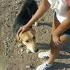 candelaamuñoz17
