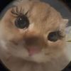 m0mmymilk3rssssss