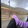 shoogalghamdi