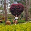 huong170295