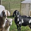 pnwmicrofarm