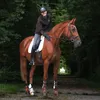 lottevandijk.__