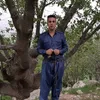 paewand_marewan5