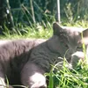 simbathecutiest