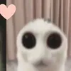 ramlaidagpls