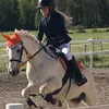 fannyfinnikungen