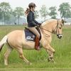 paardenmeisje0_0