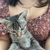 alittleloisita