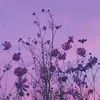 __..nobody...__