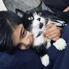 Skythetiktokcat 🐈‍⬛
