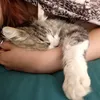 mimi_bohn