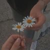 _.meroo_
