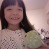kellygraceip