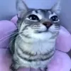 maiimeow21