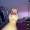 mollyx661