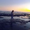 butterfly_anderson