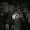 __elena3__