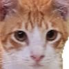 _ifify