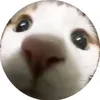 _niki_gere_