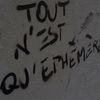 rifiy.a
