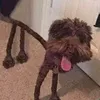 hdfduhuso