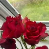 courtneyhaigh4