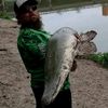 reelin_with_beau