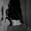 ambarct28
