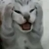 mybbgsoob