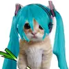 trapi_t0