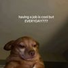 user_unavailableidk