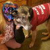 roseannasebetich