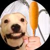 dryy_cereal