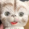 yourlocalto0thfairy