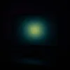 viralclipsofall